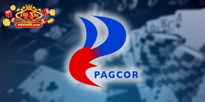 Nền tảng hot đạt các chứng nhận quốc tế