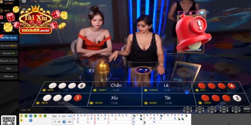 Tính toán kỹ tỷ lệ phân chia dòng tiền cho các ô cược
